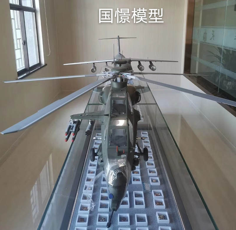 独山县飞机模型