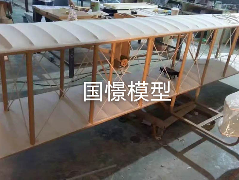 独山县飞机模型